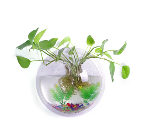 Clear Acrylic Wall Planter – Floating Succulent & Trailing Plant Display