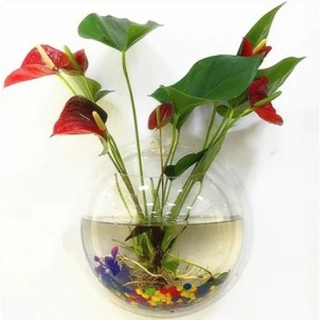 Floating Wall Planter