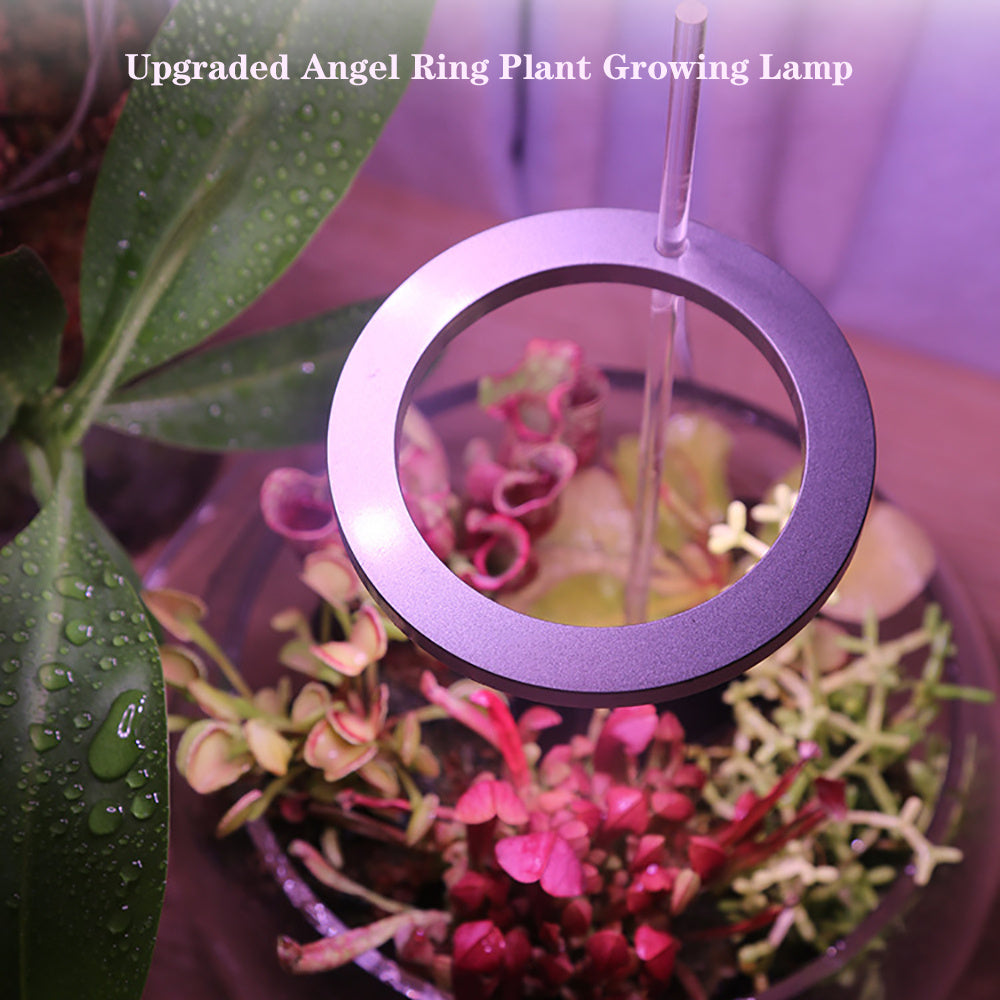 Angel Ring LED Grow Light