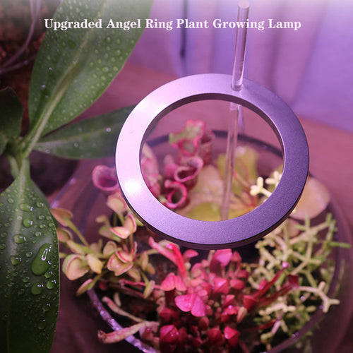 Angel Ring LED Grow Light