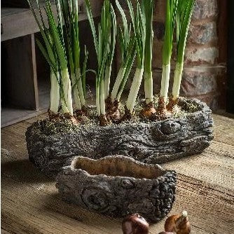 Cement Log Planter