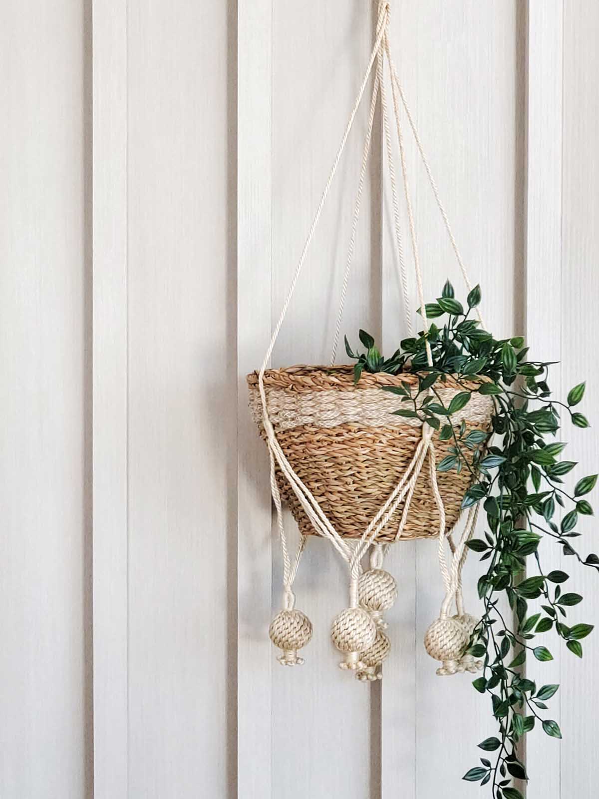 Cream macrame plant hanger with woven rope knot ball tassels holding a natural seagrass basket with a trailing variegated plant, hung against a white panelled wall