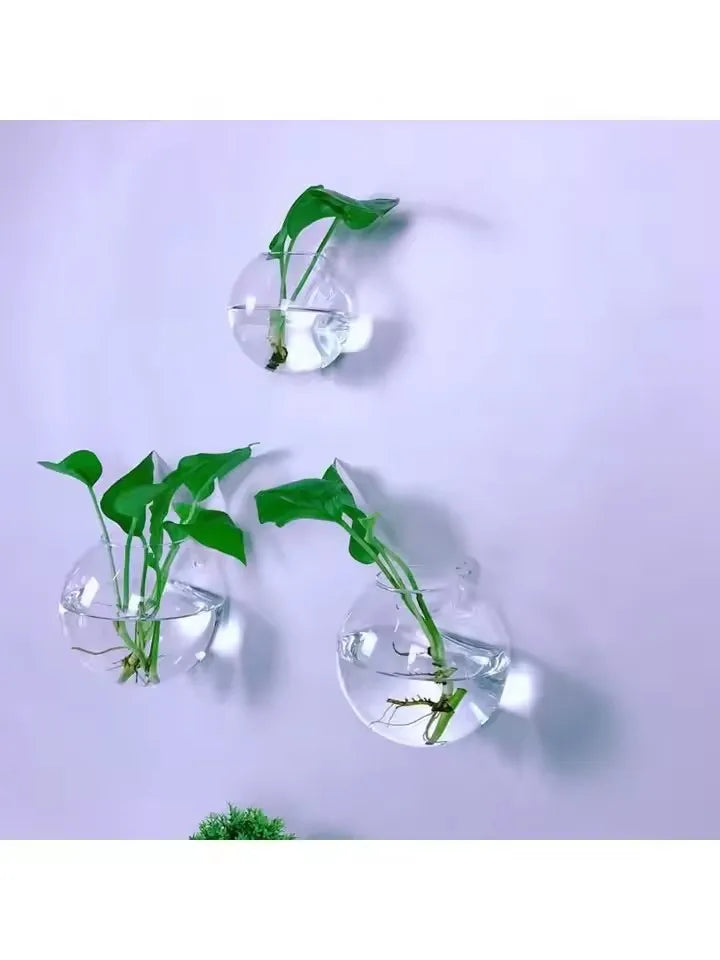 Set of three wall-mounted glass vases with green plants on a light gray background