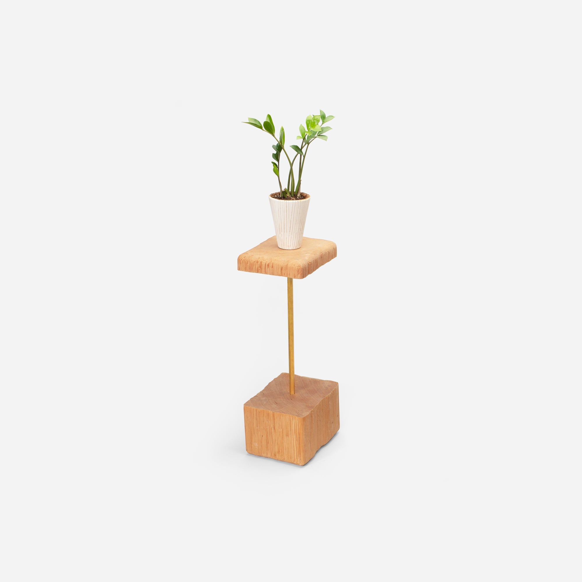 Stem Plant Holder; Minimalist Single Stem Display for Modern Plant Decor
