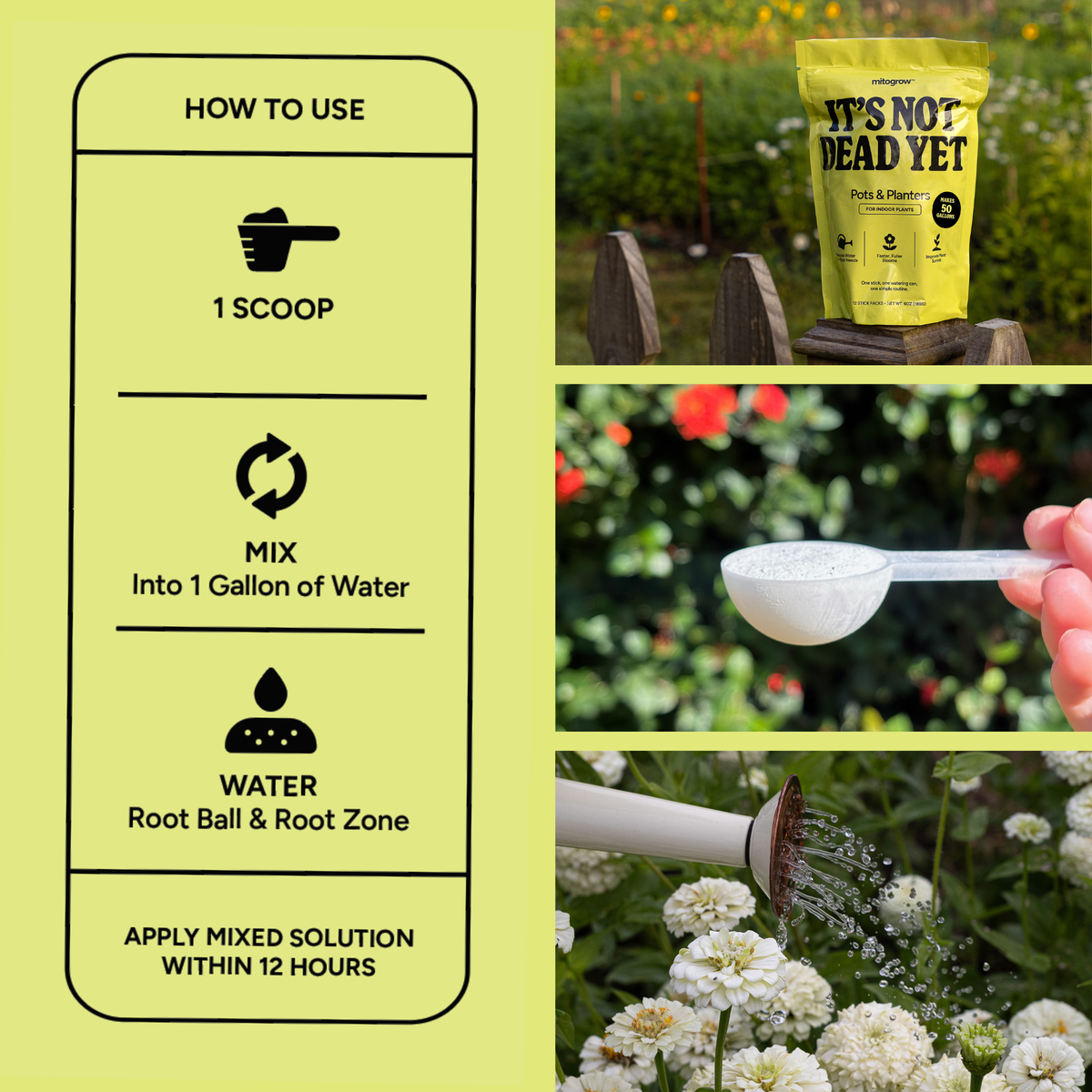 Pots & Planters