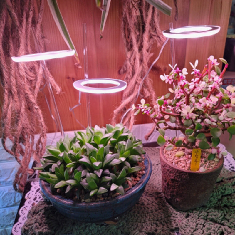 Angel Ring LED Grow Light